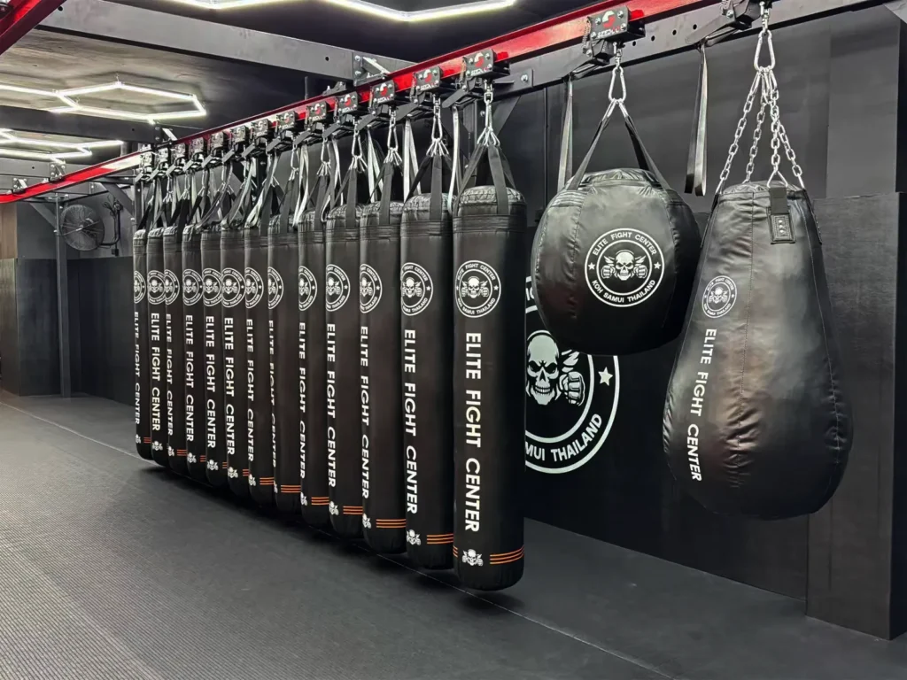Elite Fight Center 13