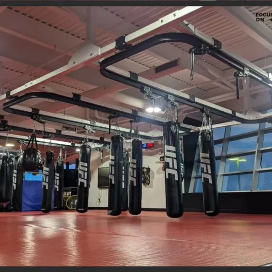 UFC PI